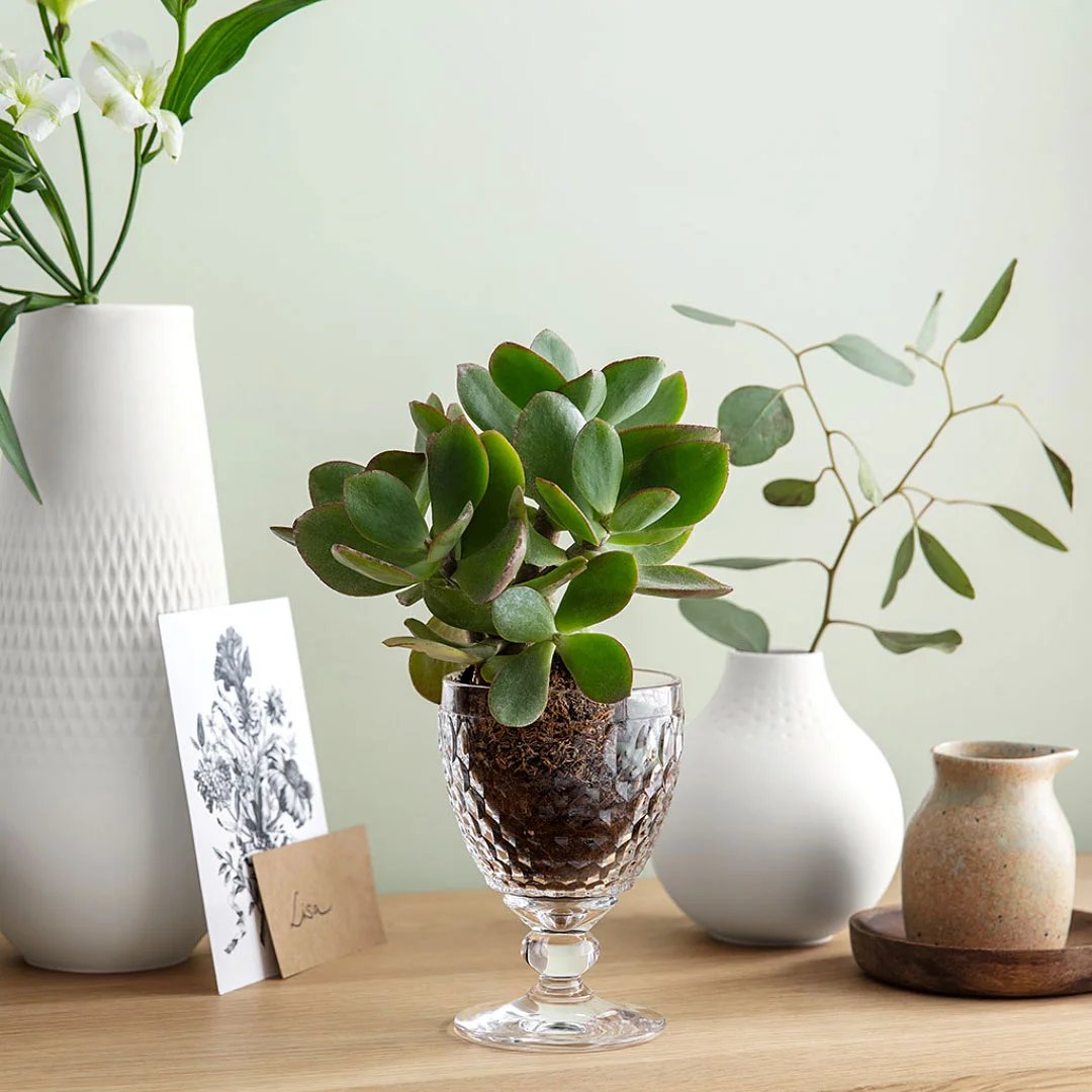 Boston Бокал для красного вина 132 мм, объем 300 мл Villeroy & Boch
https://spb.v-b.ru
г.Санкт-Петербург
eshop@v-b.spb.ru
+7(812)3801977