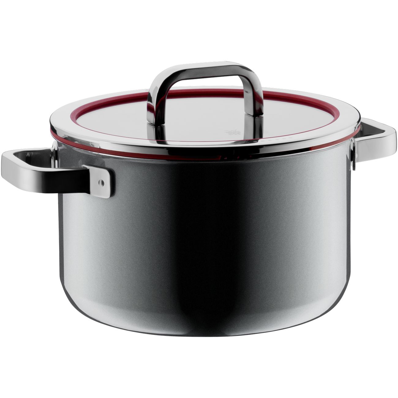 Fusiontec Functional Кастрюля 6.4 л, 24 см Platinum (0517355290										) WMF - spb.v-b.ru