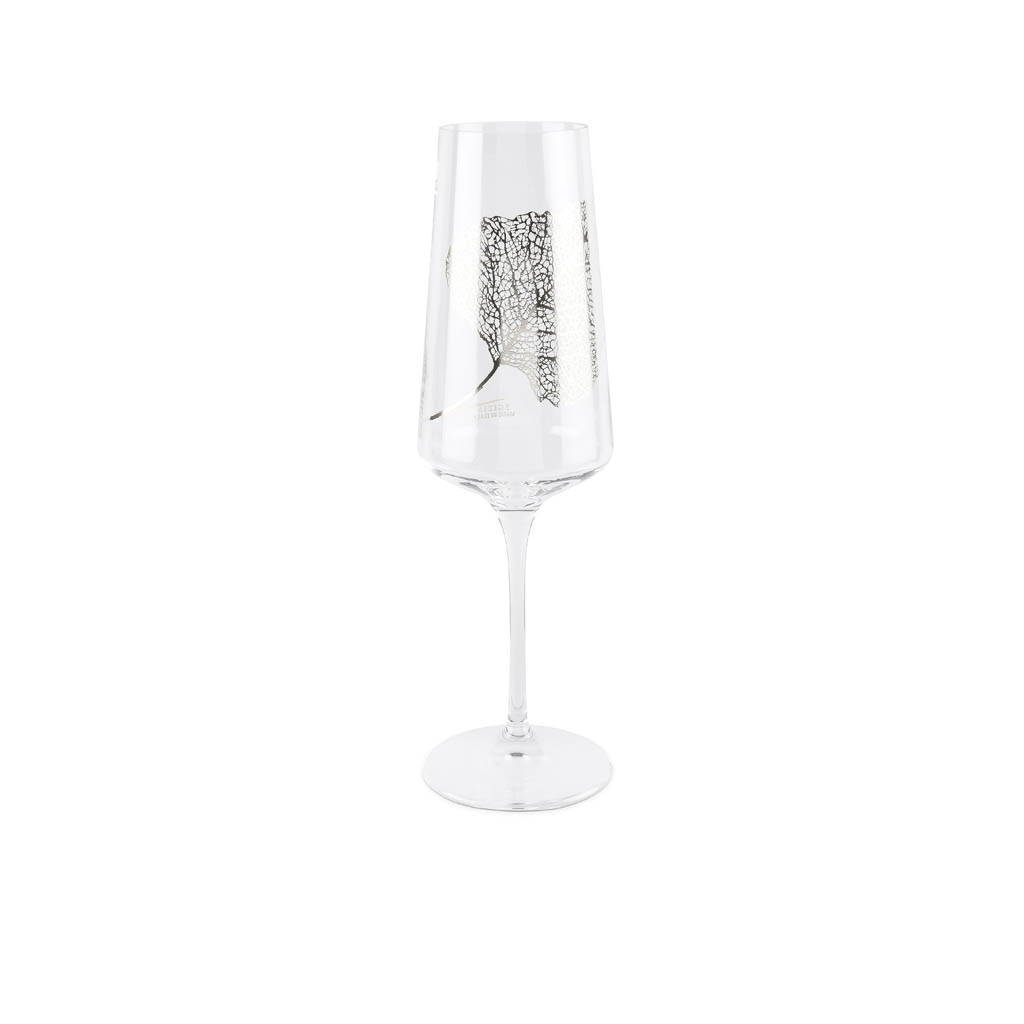 Filigrane Набор бокалов 2 шт. для шампанcкого 24 см D-7.2 см (E5576438) Egizia - spb.v-b.ru