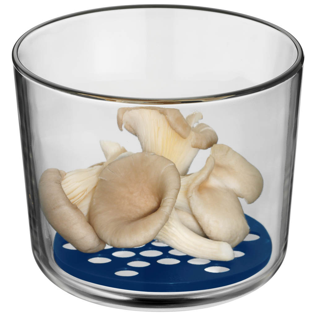 Top Serve Банка высокая с вставкой 13 см (0654996020) WMF - spb.v-b.ru