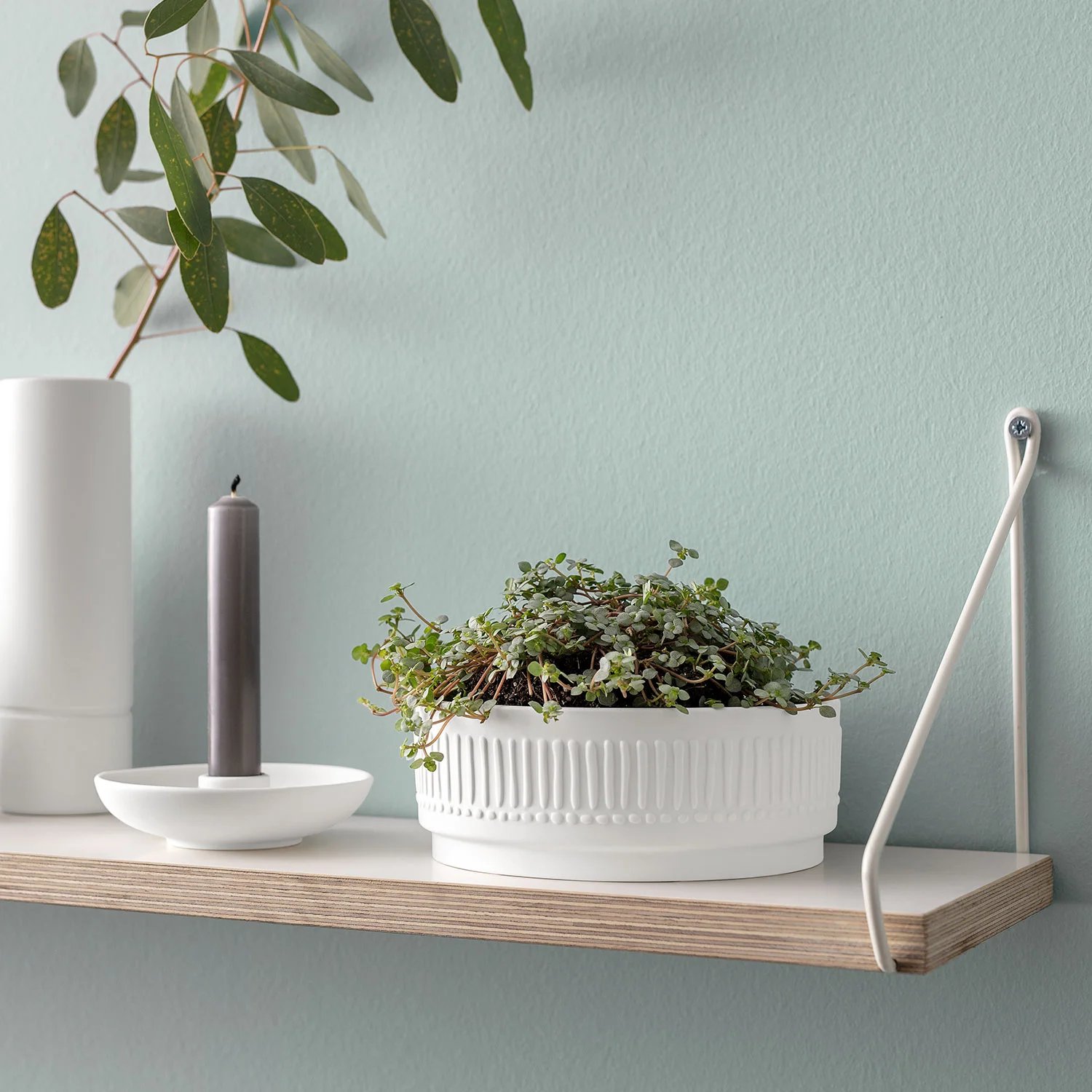 It's My Home Кашпо Blossom 17 см  Villeroy & Boch
https://spb.v-b.ru
г.Санкт-Петербург
eshop@v-b.spb.ru
+7(812)3801977