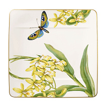 Amazonia Салатная тарелка 23х23 см